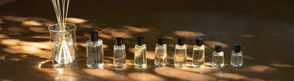12 perfumes. 12 stories. – SHIRO UK Online Store