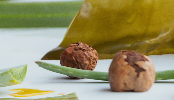 “Hidaka Kombu Aloe Tamanu All in Serum’’ is now available.  Skin and heart, replenished with moisture.