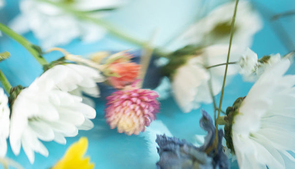 A floral bouquet scent wrapped in the radiant beauty of blooming flowers, bringing color to your summer.