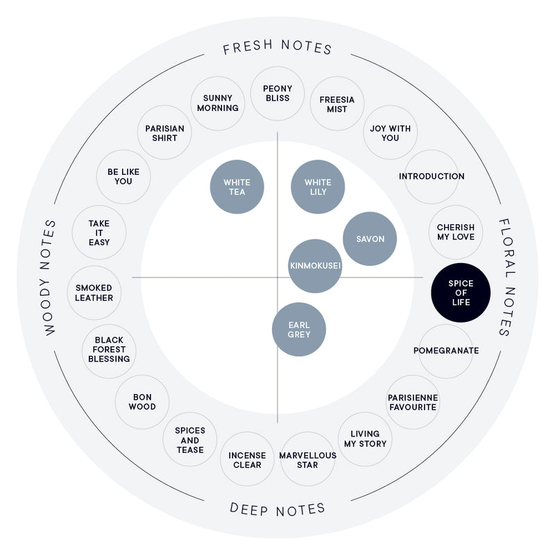 SPICE OF LIFE PERFUME DIFFUSER LIQUID WITH 10 STICKS